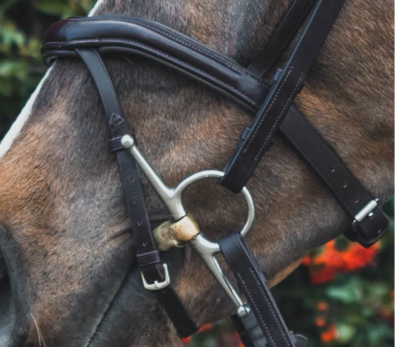 Mackey Legends Athena Bridle in Brown -1